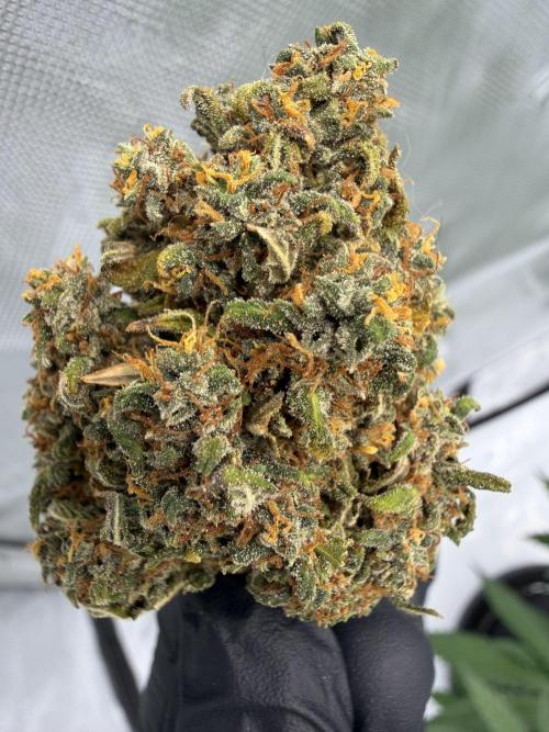 Banana Purple Punch from FastBuds. Week 10