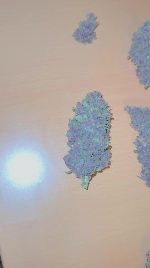 Blackberry Auto