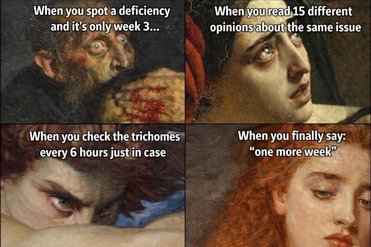 Meme by Nocone_Purple