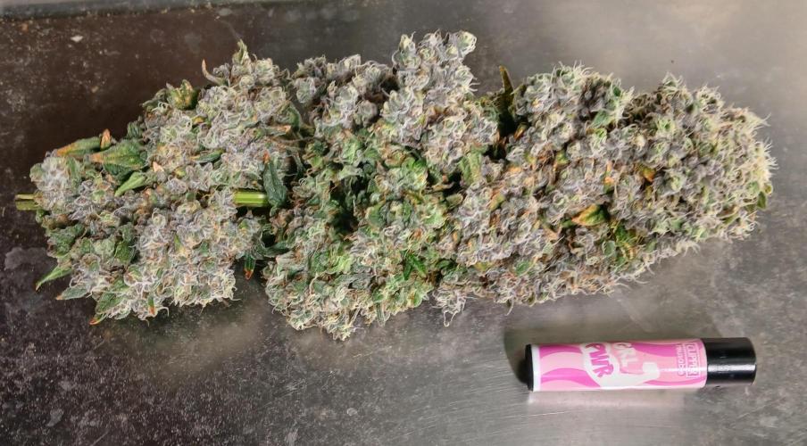 ALOG #1 RDWC. Week 15