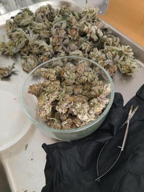 SUPE Gen1 RDWC 10w. Week 19