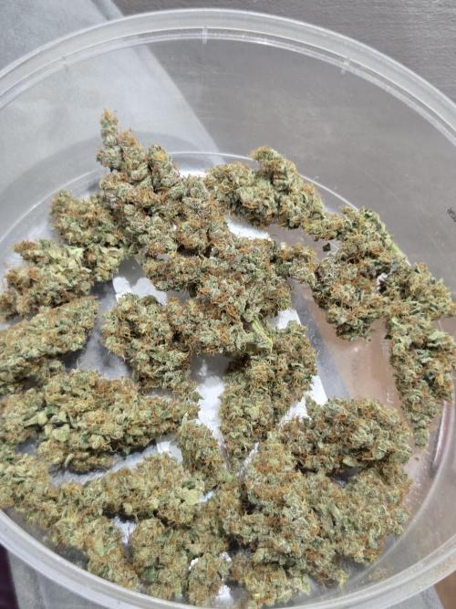 Dr.SkunkyKush: STOR. Week 10