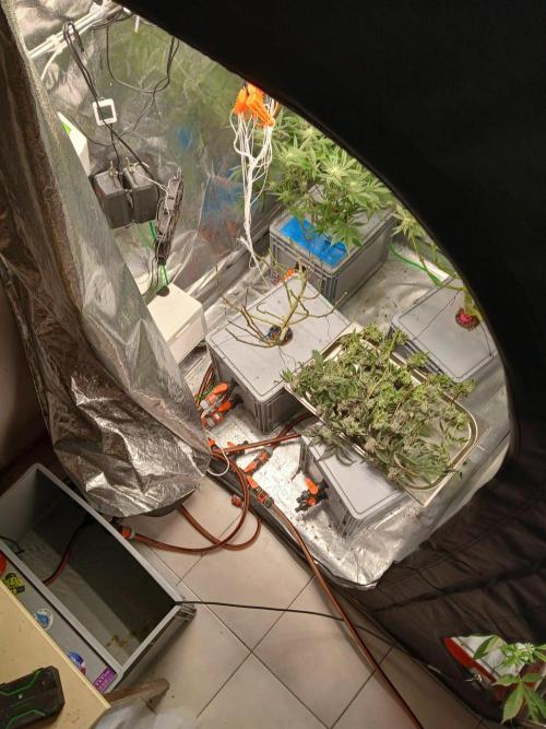 BLSK Gen4.2 RDWC. Week 18