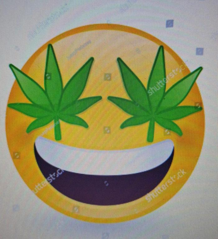 Hindu Kush fem. Test 2. Week 1 - noch kein Foto