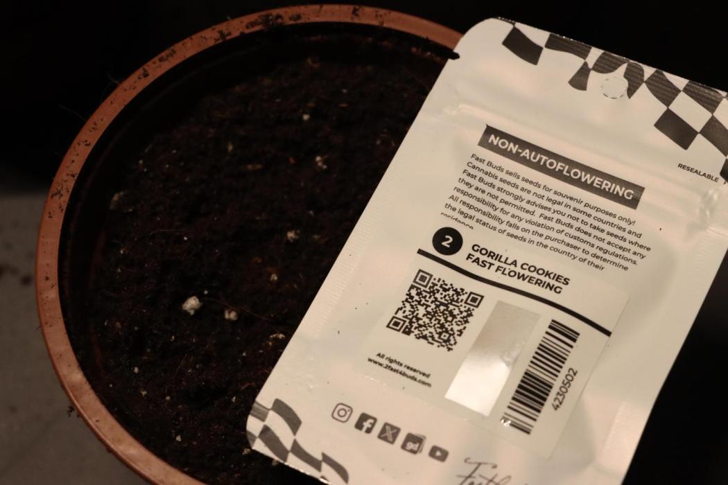 Dessert Grow #2 - Gorilla Cookies FF. Week 1 - didn't take pictures in this week