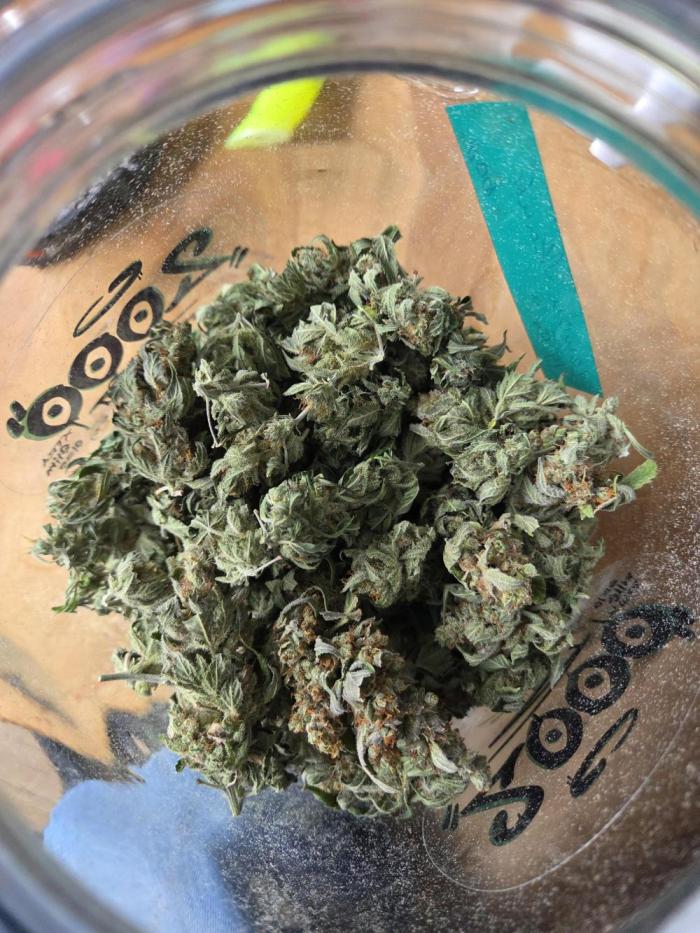 Try Mainling. Week 17