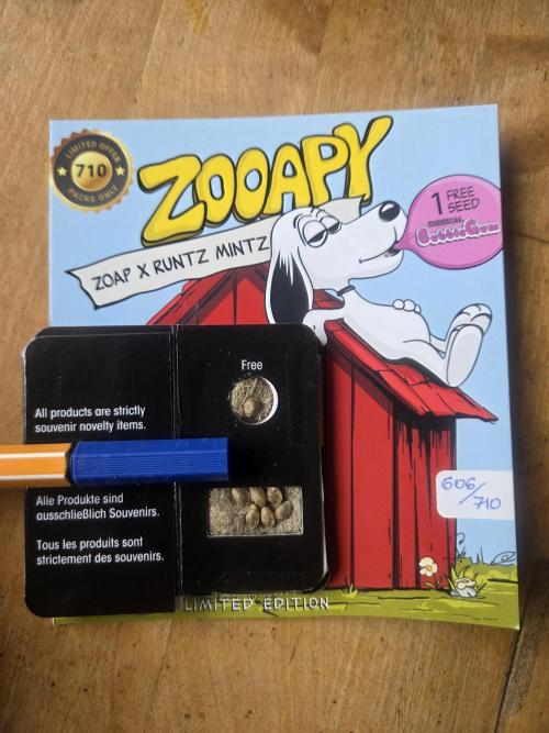 Zooapy. Week 0