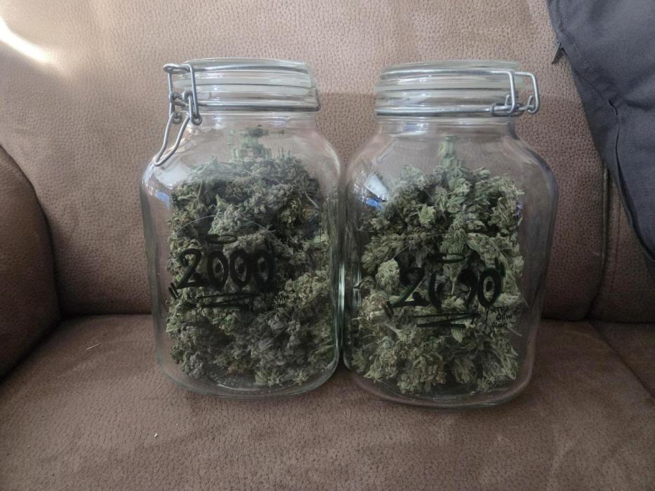 Scary Jane. Week 15 - Nanü, 
da kam ja richtig was bei rum.
