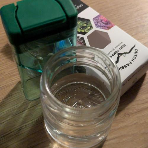 Think Fast (Dutch Passion). Week 0 - 19.12.2025