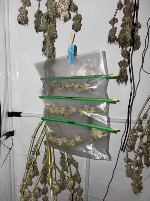 Lemon cherry & bubblegum xl. Week 15 - Das ist heute Tag 8