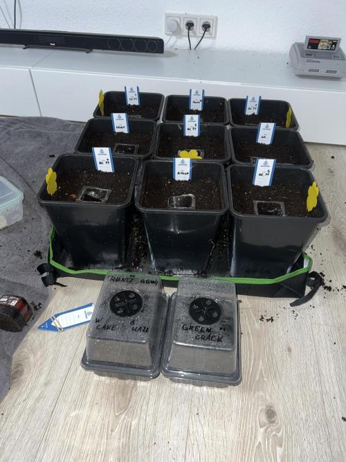 1st Grow 2024. Week 0