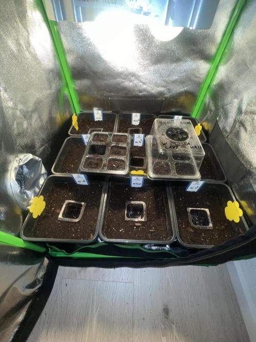 1st Grow 2024. Week 0