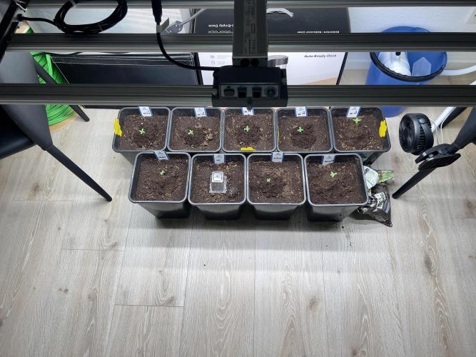 1st Grow 2024. Week 0