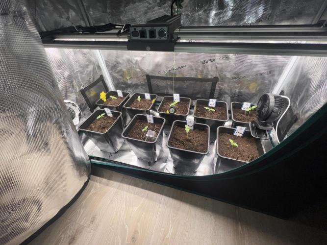 1st Grow 2024. Week 1