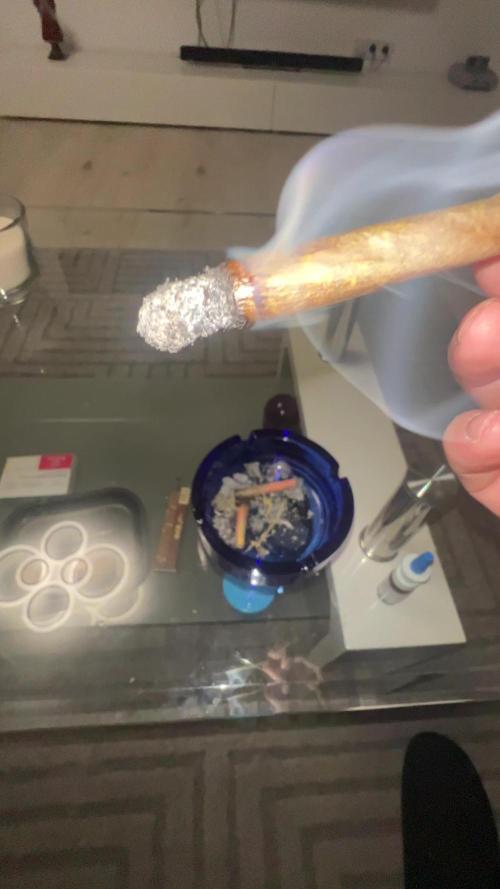 My first grow from 2024