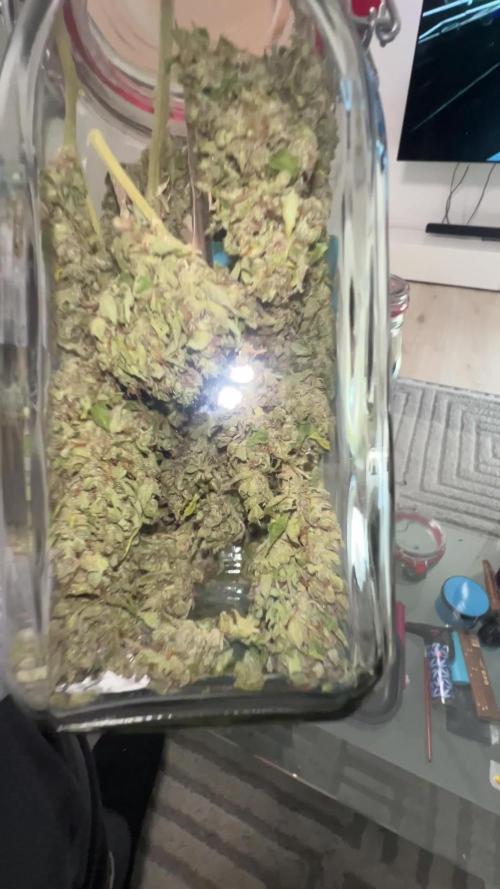 1st Grow 2024