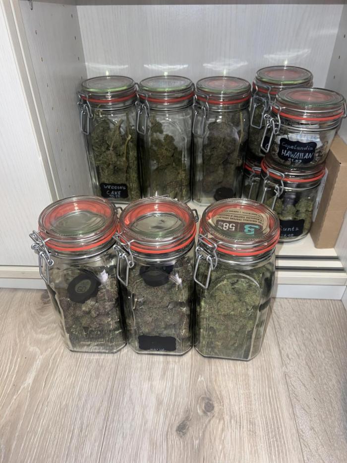 2nd grow 2025. Week 20