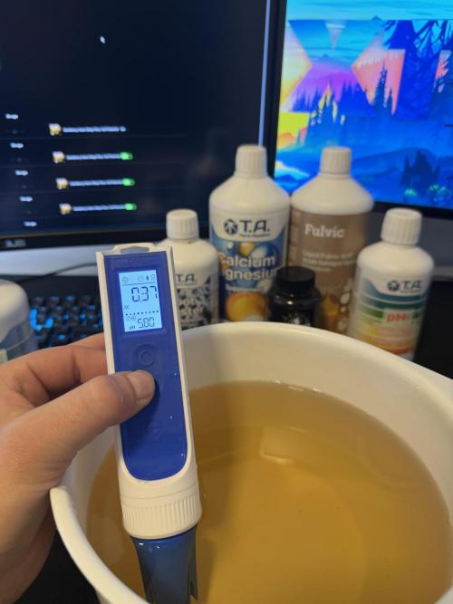 Athena x Autopot x Gigglez. Week 1 - Leitungswasser hätte gereicht aber ich arbeite gerne mit RO Wasser, deshalb Cal/Mag von Anfang an 