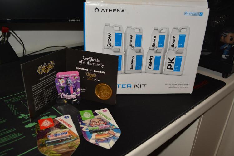 Athena x Autopots x London Pound Cake. Week 0 - Erstes Mal mit Athena 