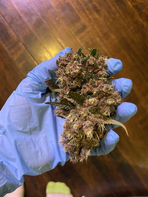 Banana Purple Punch. Week 13