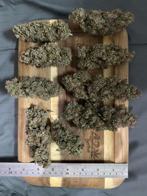 Banana Purple Punch. Week 13