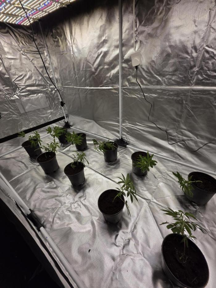 Slapz. Week 1 - Getting ready to move 2 too another set up 