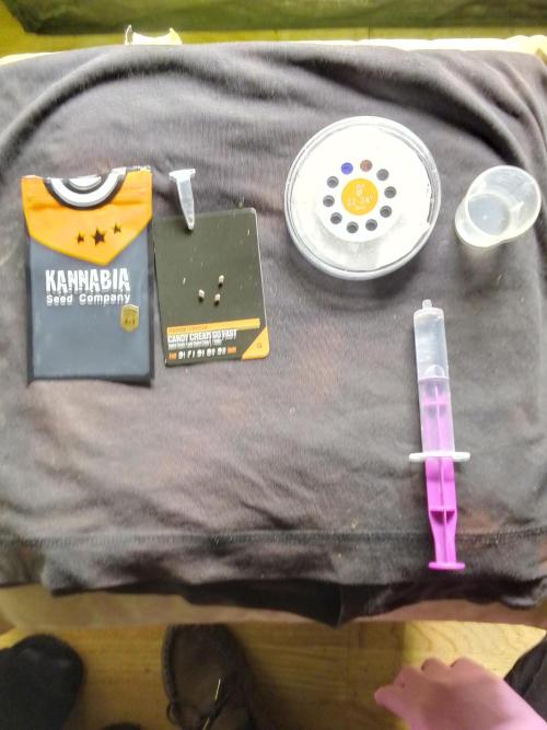 CANDY CREAM GO FAST. Week 0