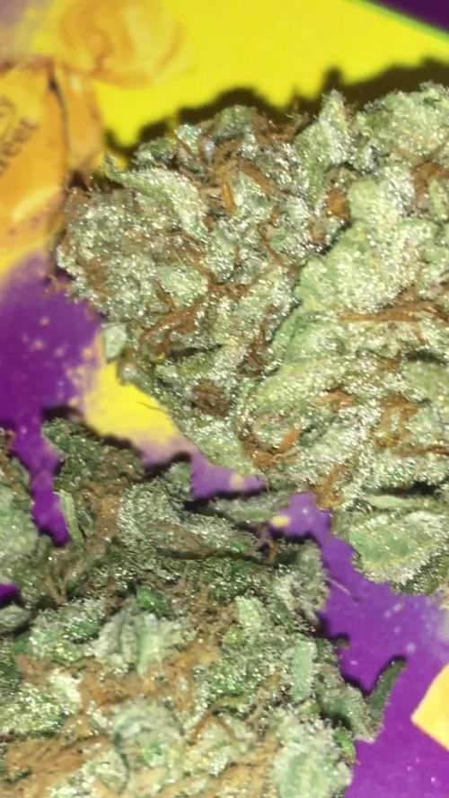 PURE SKUNK