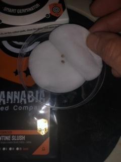 CLEMENTINE SLUSH. Week 0