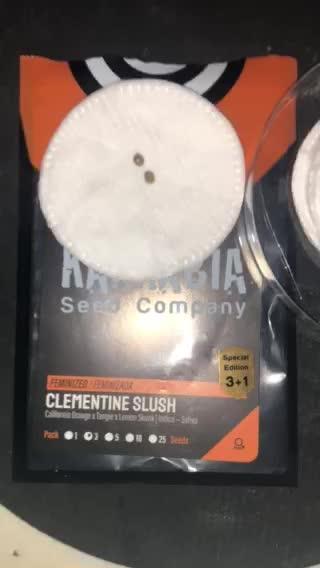 CLEMENTINE SLUSH