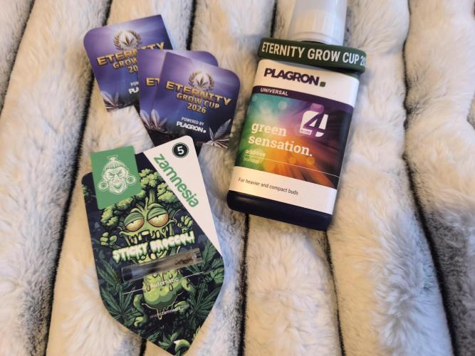 Eternity Grow Cup 2026. Week 0