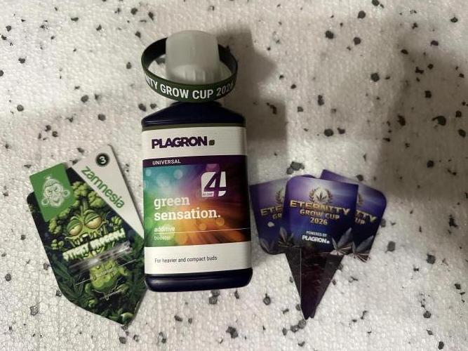 Eternity Grow Cup 2026. Week 0