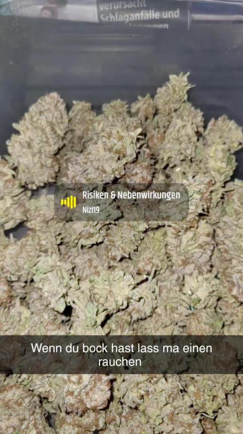 White Truffle BX x Rainbow Melon