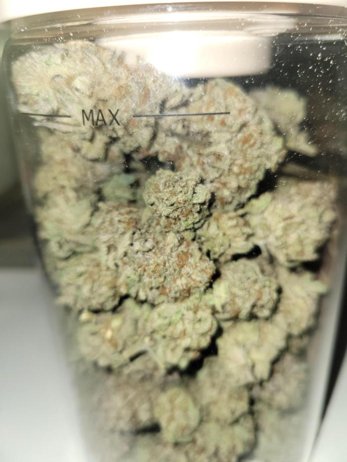 Chem D x Banana Zkittlez. Week 14 - legga schmegga !