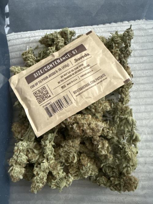 Grounded Genetiks Part 1. Week 13