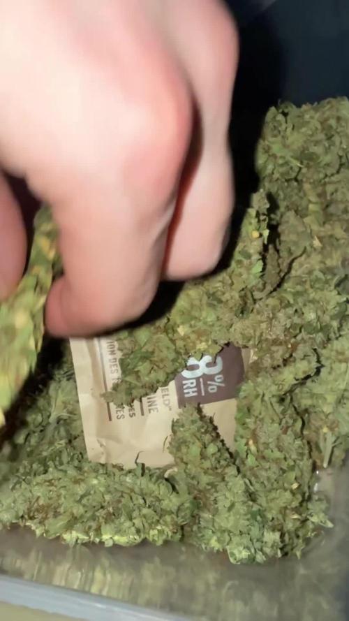 Greenhouse Cycle Part 1