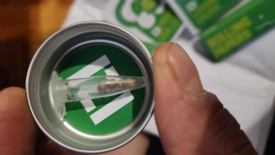 IZI Seeds Grow Report Contest 2025. Week 0 - Ladies acquired, start day Jan 1st, 