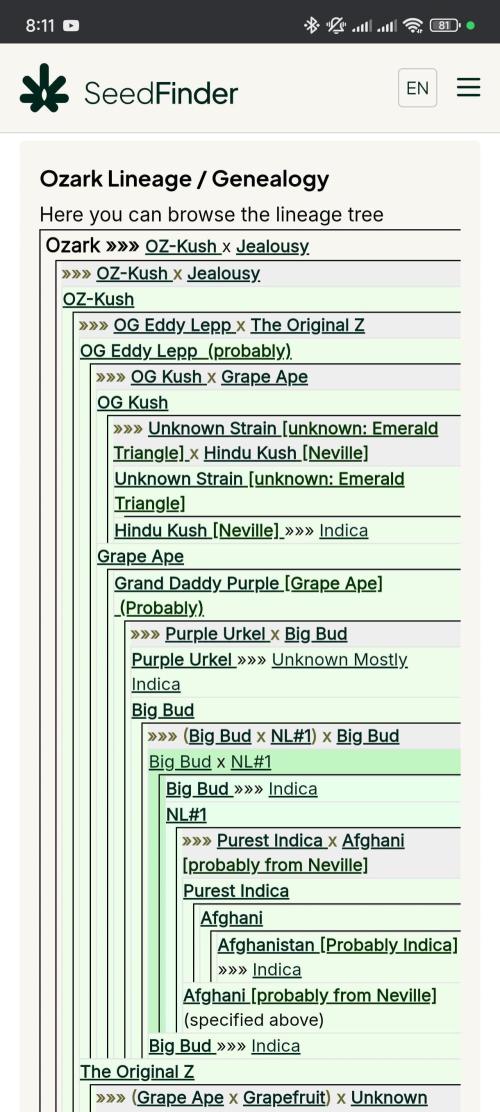 Grounded Genetics Grow. Week 7