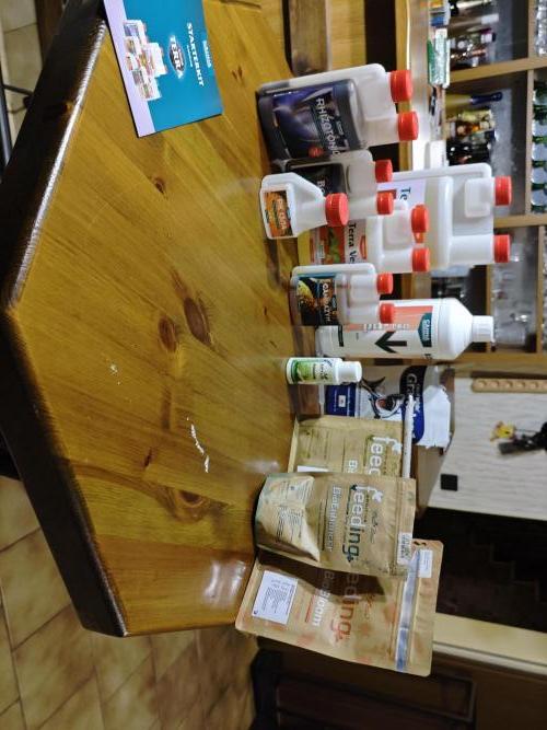 Grounded Genetics Grow. Week 1