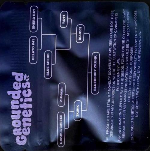 Grounded Genetics Grow. Week 7