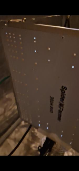 Comment by BrediniGreeny photo #1