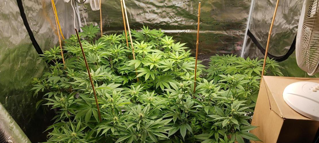 Fall Winter 2025. Week 8