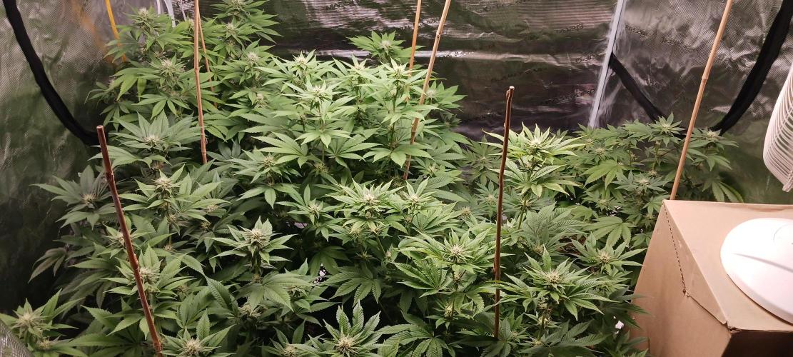 Fall Winter 2025. Week 9