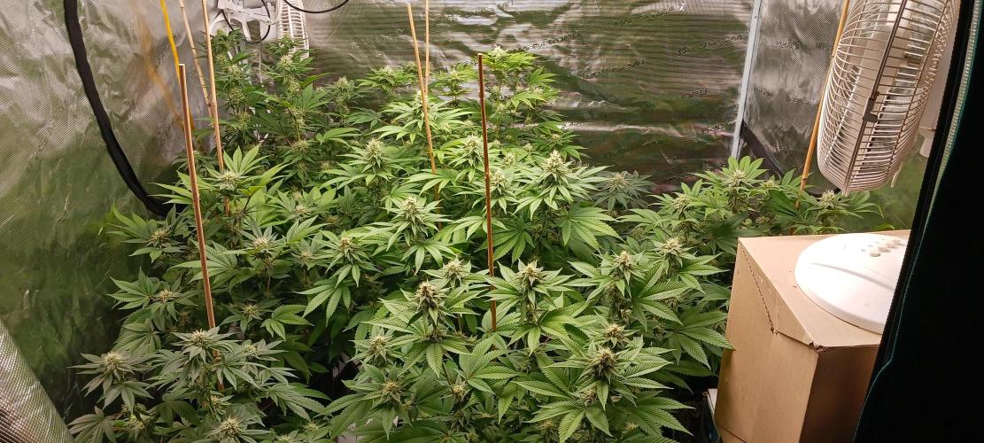 Fall Winter 2025. Week 10