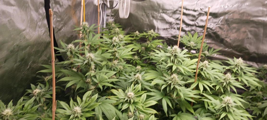 Fall Winter 2025. Week 10