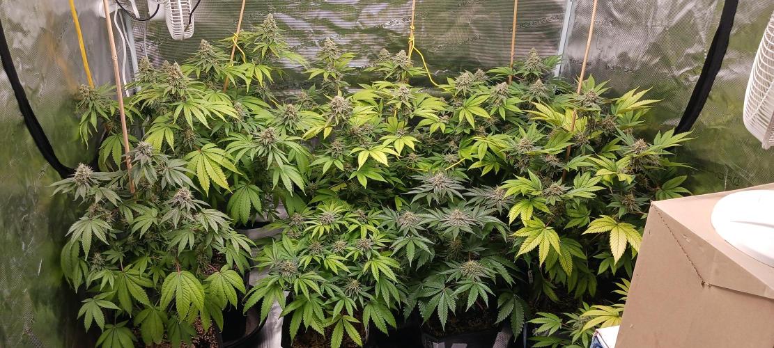 Fall Winter 2025. Week 13