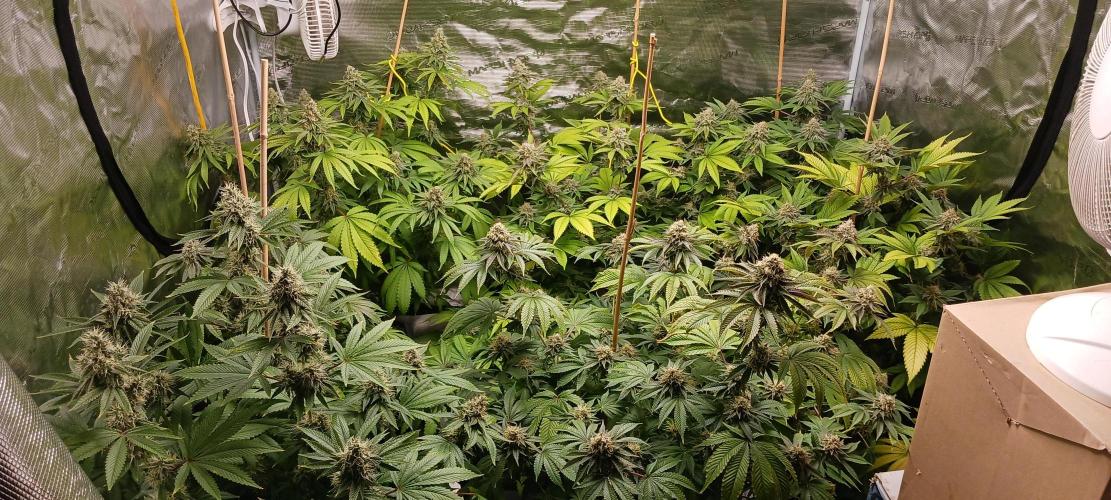 Fall Winter 2025. Week 13