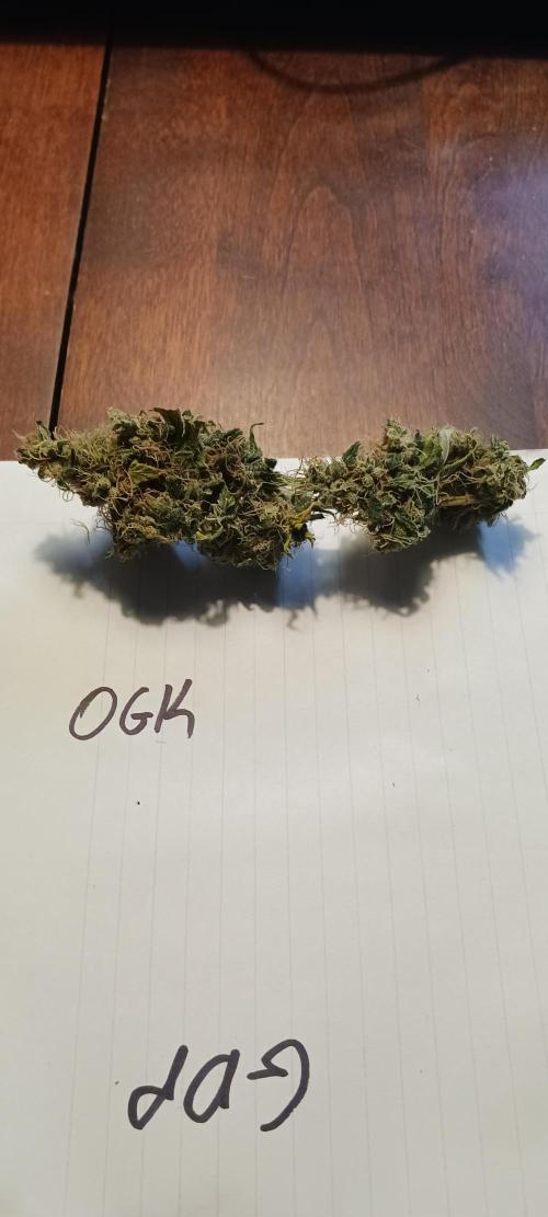 Fall Winter 2025. Week 15