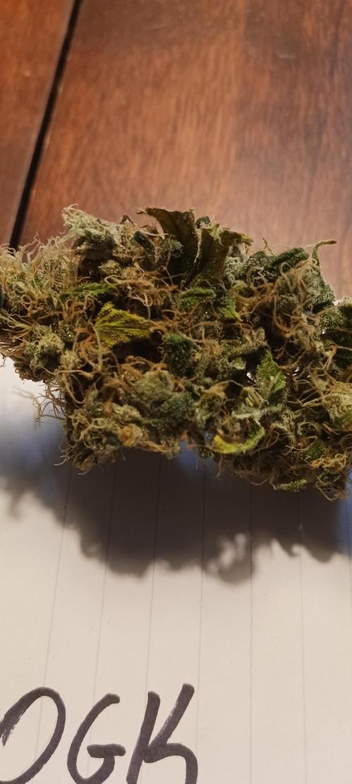 Fall Winter 2025. Week 15