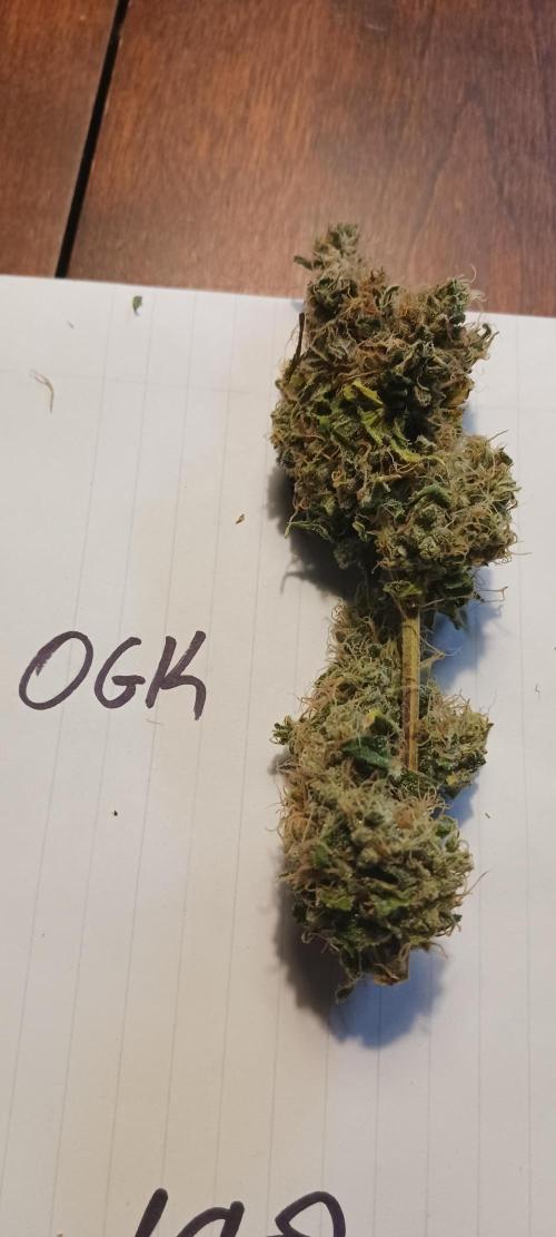 Fall Winter 2025. Week 15